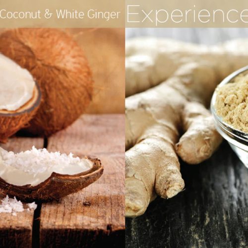 Cuccio Naturale Coconut Ginger Body Butter Blend