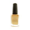 SALLY HANSEN Salon Nail Lacquer 4134 - Gilty Pleasure