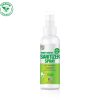 RUDE Peppermint Lemon Hand & Surface Sanitizer Spray 3.4 fl. oz / 100 mL