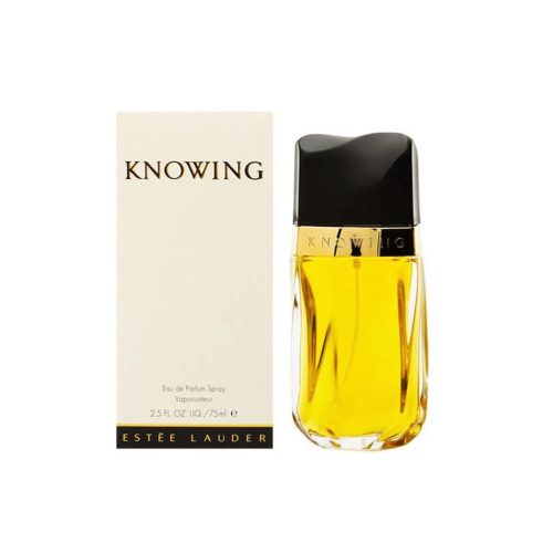 estee lauder women s perfume estee lauder knowing eau de parfum women s perfume spray 75ml 13808314482781