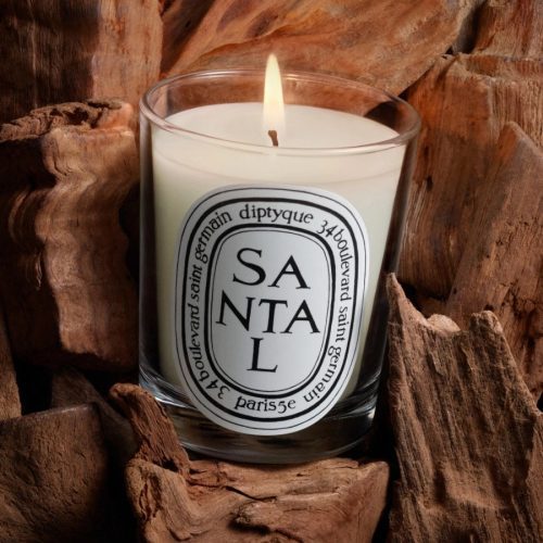 herbier visuel santal 190g 2024 rvb bd 2025x2700 diptyque 1