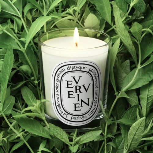 herbier visuel verveine 190g 2024 2025x2700 diptyque 1