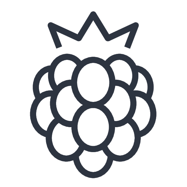 icon raspberry